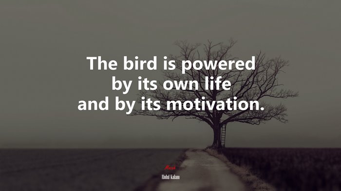 The bird is powered by its own life and by its motivation. | Abdul Kalam quote