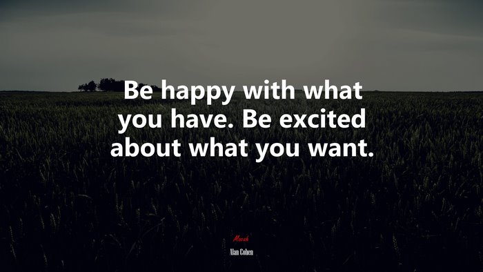 Be happy with what you have. Be excited about what you want. | Alan Cohen quote