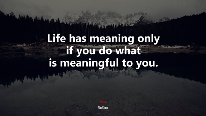 Life has meaning only if you do what is meaningful to you. | Alan Cohen quote