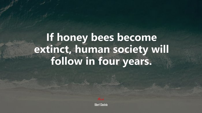 If honey bees become extinct, human society will follow in four years. | Albert Einstein quote