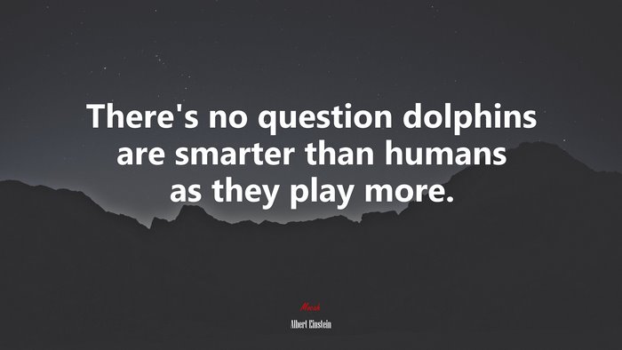 There’s no question dolphins are smarter than humans as they play more. | Albert Einstein quote