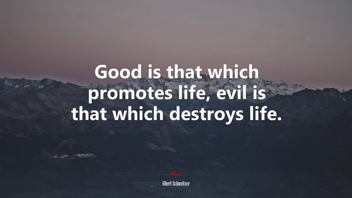 Good is that which promotes life, evil is that which destroys life. | Albert Schweitzer quote