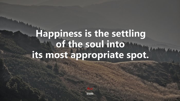 Happiness is the settling of the soul into its most appropriate spot. | Aristotle quote
