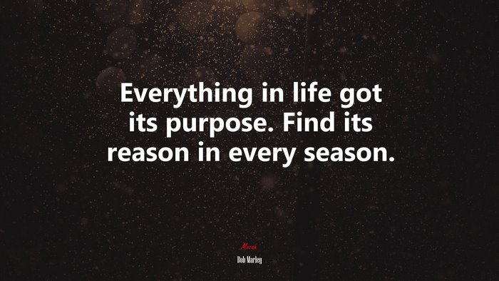Everything in life got its purpose. Find its reason in every season. | Bob Marley quote