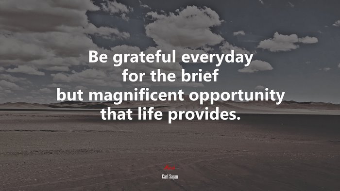 Be grateful everyday for the brief but magnificent opportunity that life provides. | Carl Sagan quote