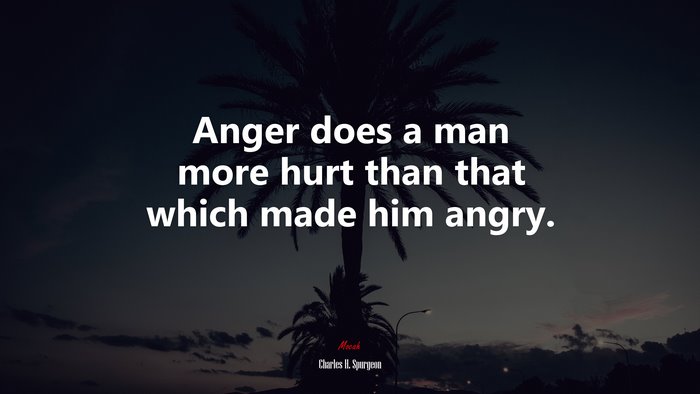 Anger does a man more hurt than that which made him angry. | Charles H. Spurgeon quote