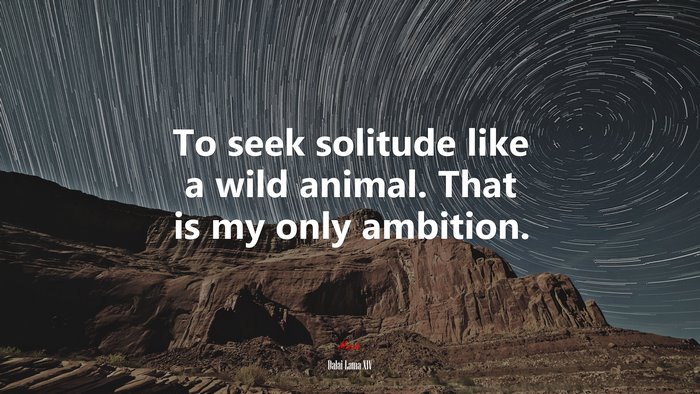 To seek solitude like a wild animal. That is my only ambition. | Dalai Lama XIV quote