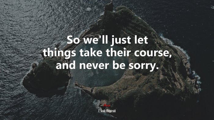 So we’ll just let things take their course, and never be sorry. | F. Scott Fitzgerald quote