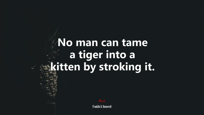 No man can tame a tiger into a kitten by stroking it. | Franklin D. Roosevelt quote