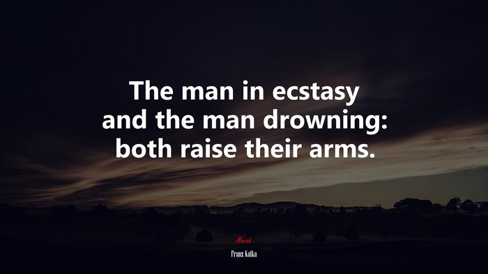The man in ecstasy and the man drowning: both raise their arms. | Franz Kafka quote