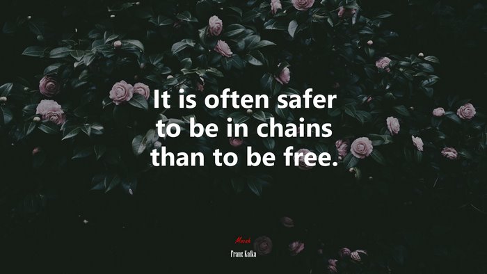 It is often safer to be in chains than to be free. | Franz Kafka quote