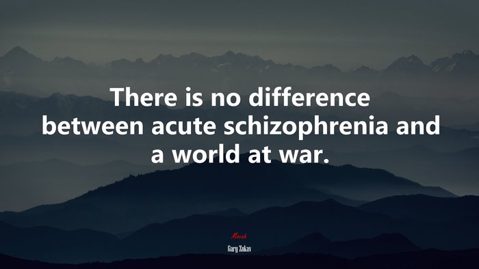 There is no difference between acute schizophrenia and a world at war. | Gary Zukav quote