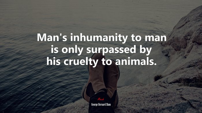 Man’s inhumanity to man is only surpassed by his cruelty to animals. | George Bernard Shaw quote