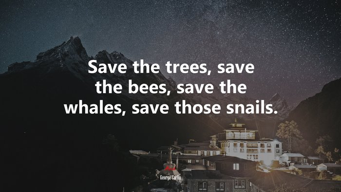 Save the trees, save the bees, save the whales, save those snails. | George Carlin quote