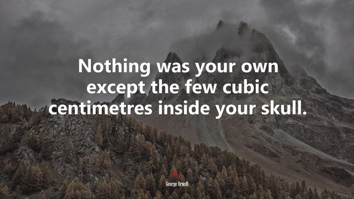 Nothing was your own except the few cubic centimetres inside your skull. | George Orwell quote
