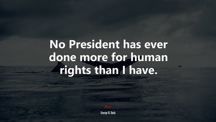 No President has ever done more for human rights than I have. | George W. Bush quote