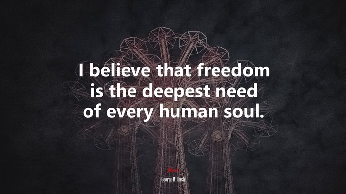 I believe that freedom is the deepest need of every human soul. | George W. Bush quote