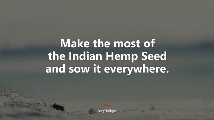 Make the most of the Indian Hemp Seed and sow it everywhere. | George Washington quote