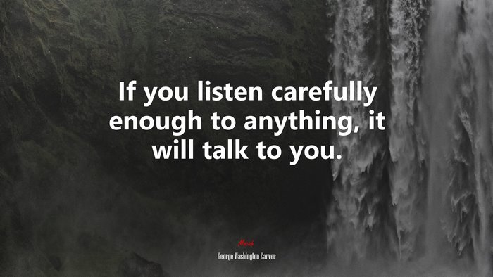 If you listen carefully enough to anything, it will talk to you. | George Washington Carver quote