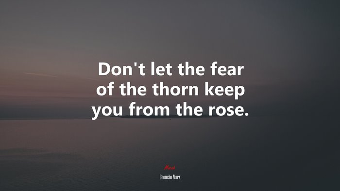 Don’t let the fear of the thorn keep you from the rose. | Groucho Marx quote