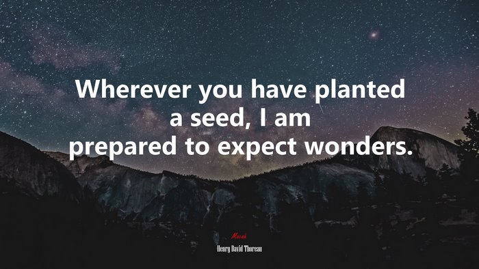 Wherever you have planted a seed, I am prepared to expect wonders. | Henry David Thoreau quote