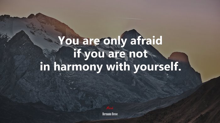 You are only afraid if you are not in harmony with yourself. | Hermann Hesse quote