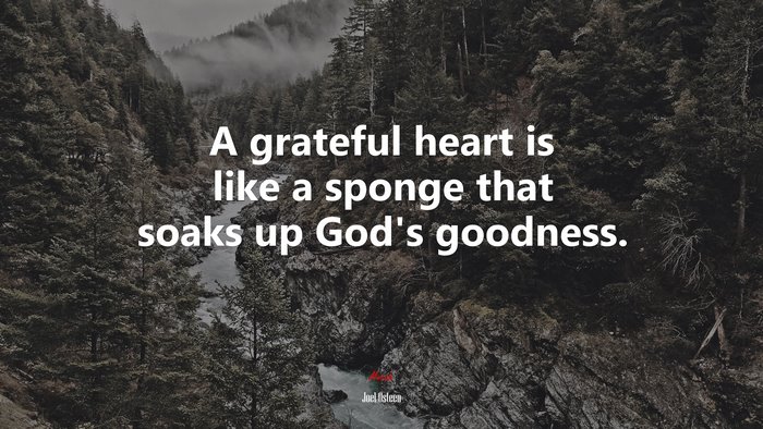 A grateful heart is like a sponge that soaks up God’s goodness. | Joel Osteen quote
