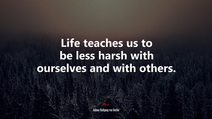 Life teaches us to be less harsh with ourselves and with others. | Johann Wolfgang von Goethe quote