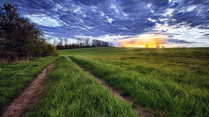 Dirt path through a green field at sunset