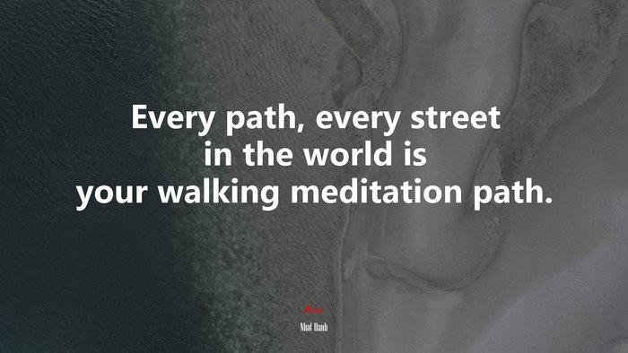 Every path, every street in the world is your walking meditation path. | Nhat Hanh quote