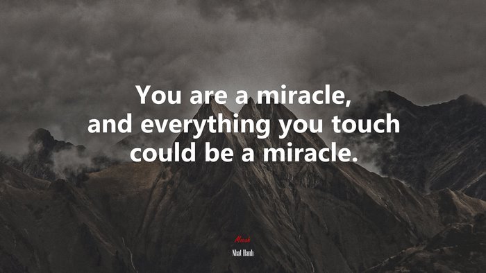 You are a miracle, and everything you touch could be a miracle. | Nhat Hanh quote