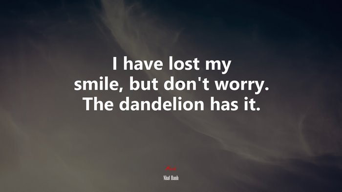 I have lost my smile, but don’t worry. The dandelion has it. | Nhat Hanh quote