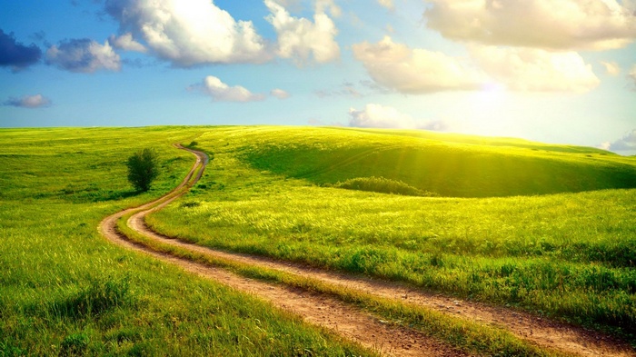 Dirt road winding through a green grassy field under a sunny sky