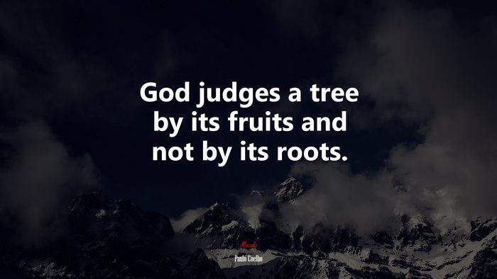 God judges a tree by its fruits and not by its roots. | Paulo Coelho quote