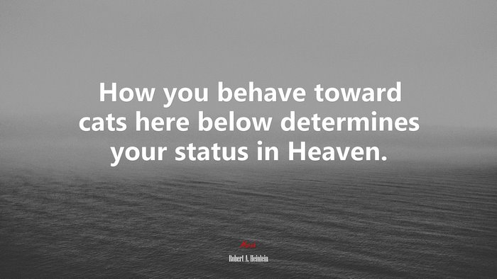 How you behave toward cats here below determines your status in Heaven. | Robert A. Heinlein quote