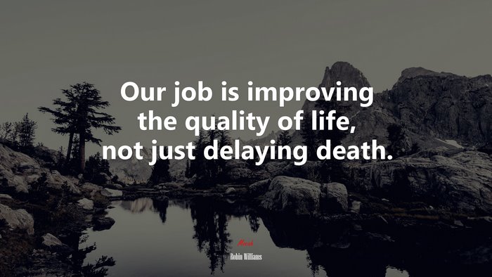 Our job is improving the quality of life, not just delaying death. | Robin Williams quote