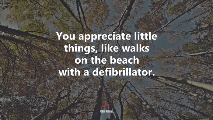 You appreciate little things, like walks on the beach with a defibrillator. | Robin Williams quote