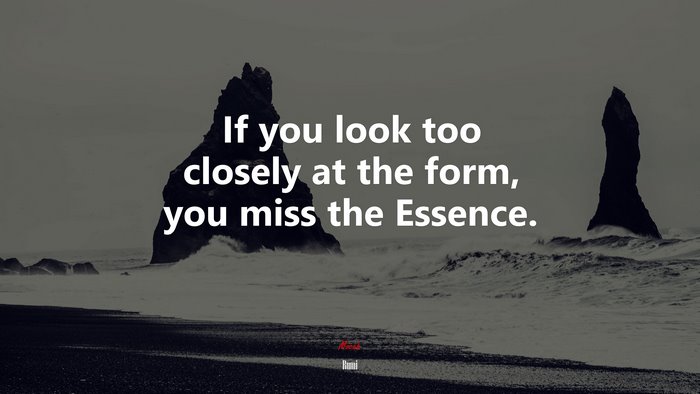 If you look too closely at the form, you miss the Essence. | Rumi quote
