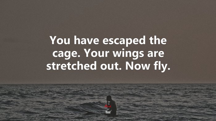 You have escaped the cage. Your wings are stretched out. Now fly. | Rumi quote