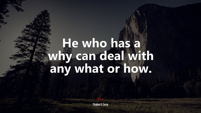 He who has a why can deal with any what or how. | Stephen R. Covey quote