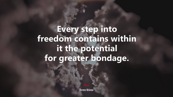 Every step into freedom contains within it the potential for greater bondage. | Terence McKenna quote