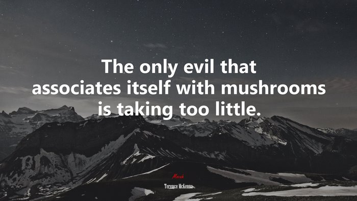 The only evil that associates itself with mushrooms is taking too little. | Terence McKenna quote