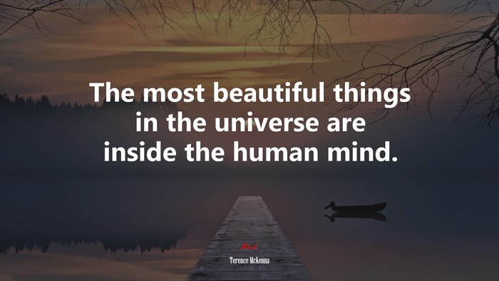 The most beautiful things in the universe are inside the human mind. | Terence McKenna quote