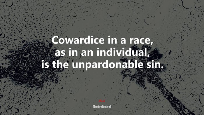 Cowardice in a race, as in an individual, is the unpardonable sin. | Theodore Roosevelt quote
