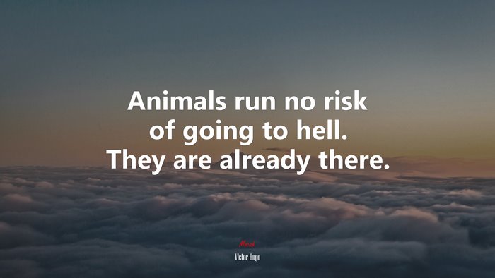 Animals run no risk of going to hell. They are already there. | Victor Hugo quote