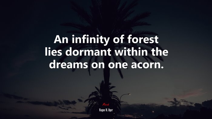 An infinity of forest lies dormant within the dreams on one acorn. | Wayne W. Dyer quote
