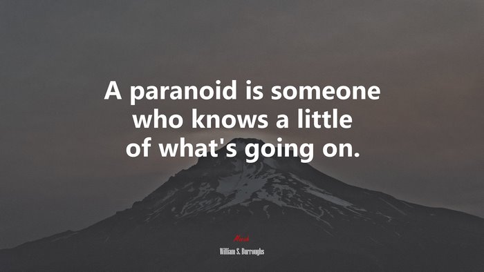A paranoid is someone who knows a little of what’s going on. | William S. Burroughs quote