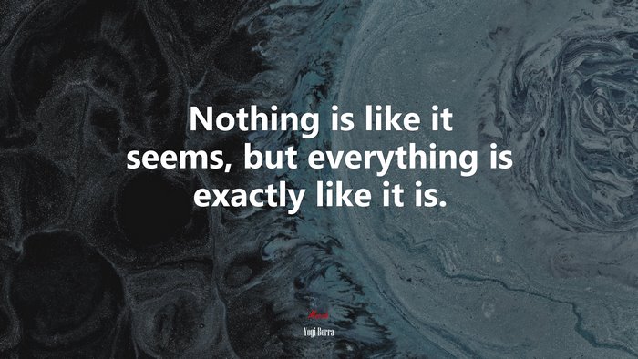 Nothing is like it seems, but everything is exactly like it is. | Yogi Berra quote