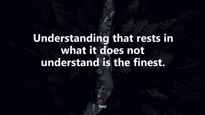 Understanding that rests in what it does not understand is the finest. | Zhuangzi quote