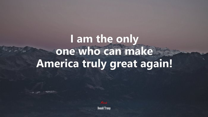 I am the only one who can make America truly great again! | Donald Trump quote